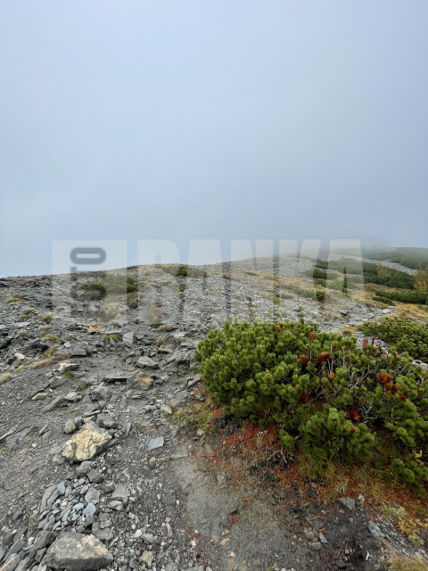 IMG 9065