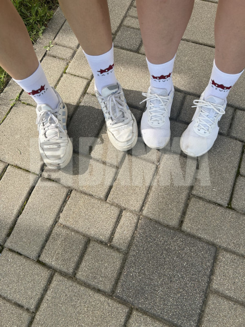 IMG 0336