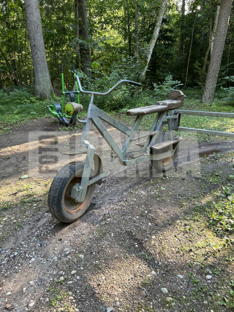 IMG 2386