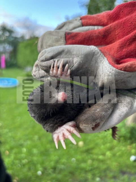 IMG 2069