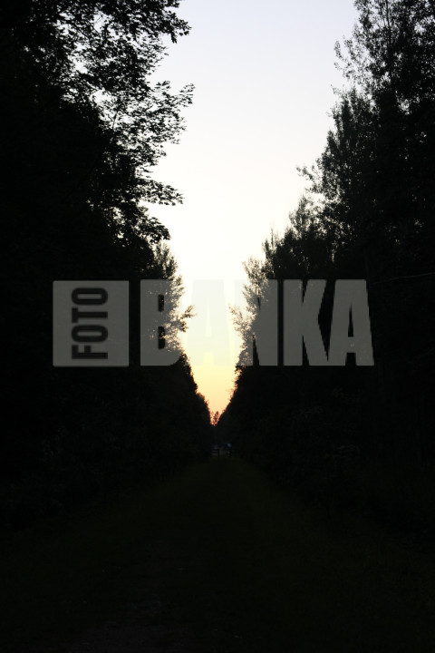 20240801211503 IMG 2123
