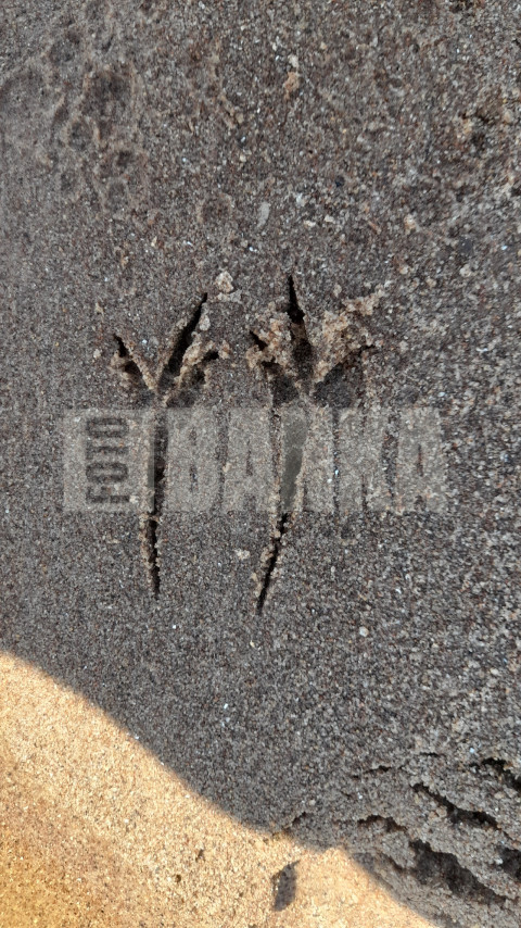20240519 133553