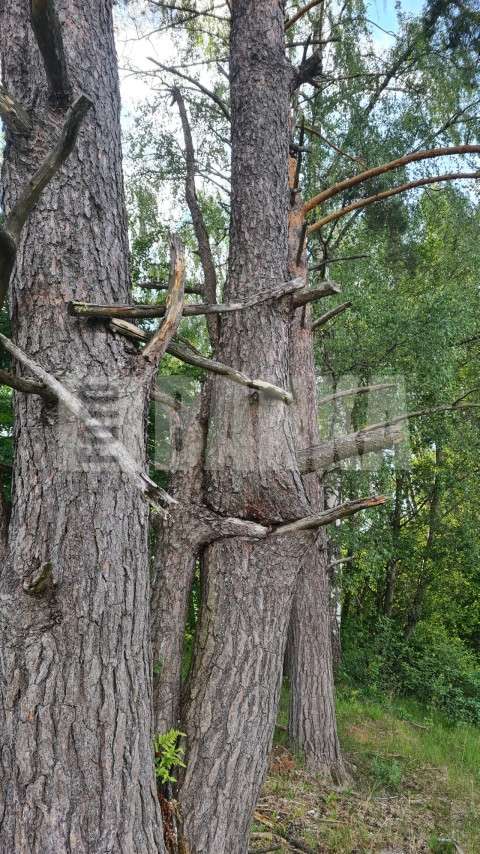 20230711 191434