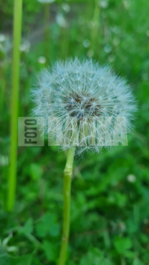 20240524 071120
