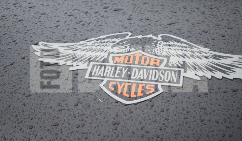 Harley Davidson logo
