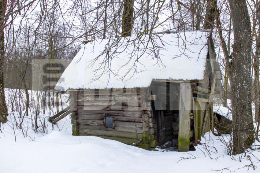 Old wooden sauna in the countryside