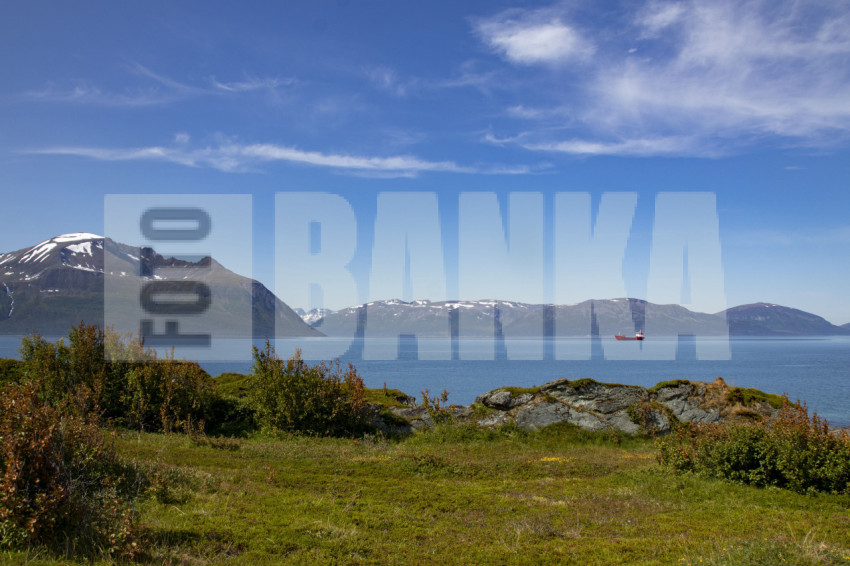 Stunning view of mountains and fords in Norway