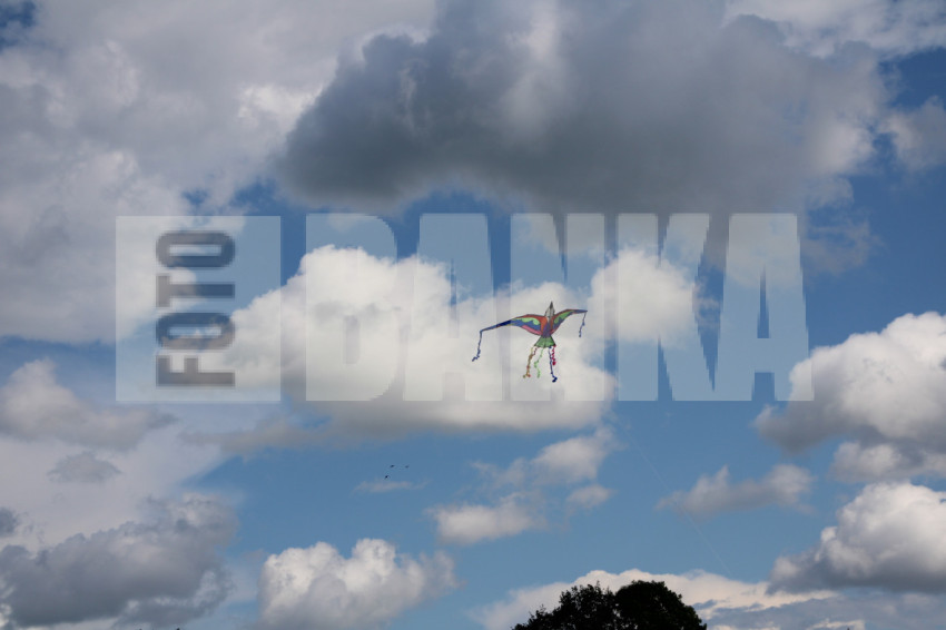 20240801154919 IMG 1710