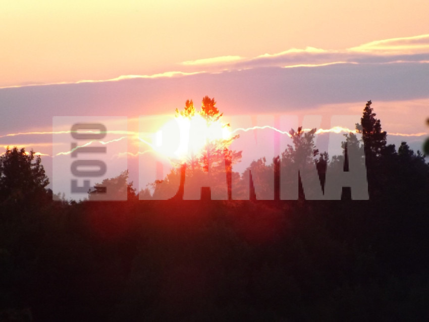 DSCF9897