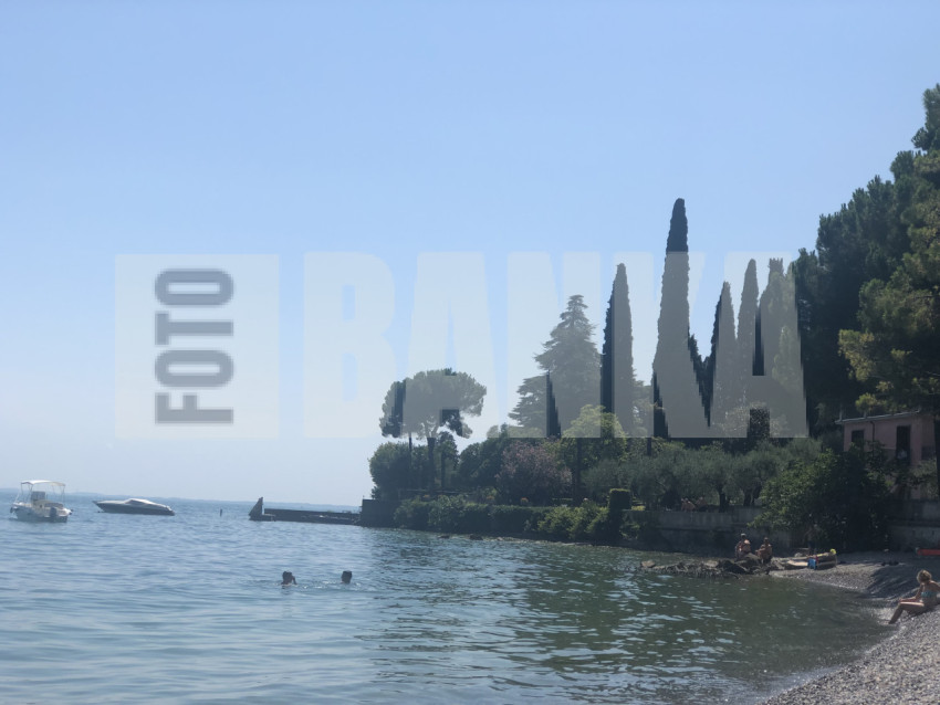 IMG 0286