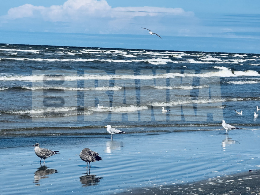 #storm #sea #jurmala