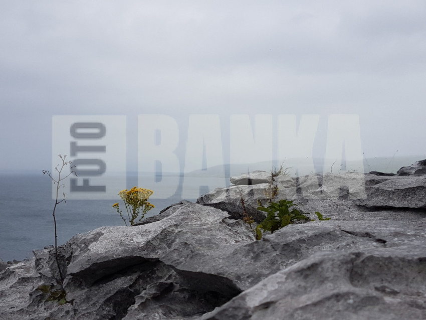 Cliffs