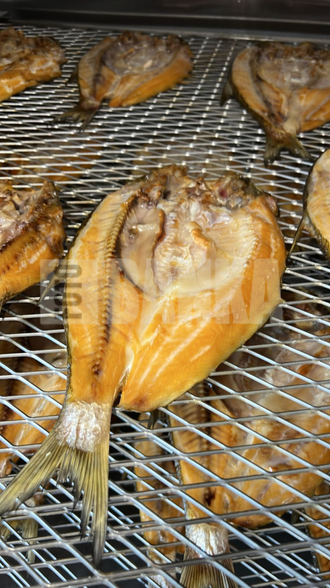 IMG 20240806 WA0015