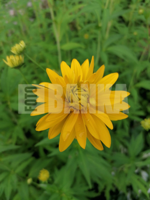 IMG 20240720 200216