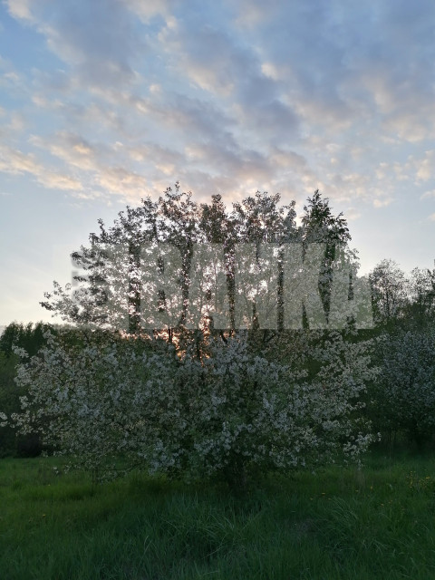 IMG 20240515 205700