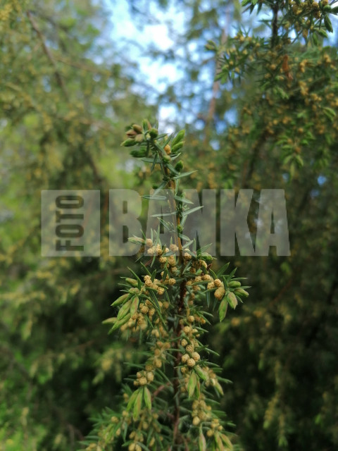 IMG 20240514 190810