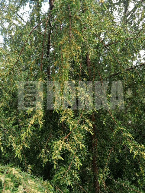 IMG 20240514 190742