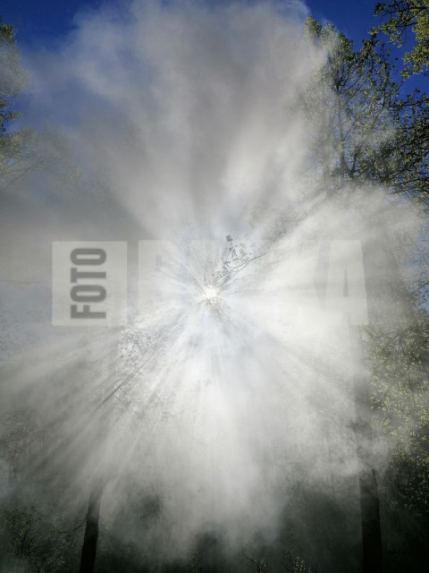 IMG 20240503 174101