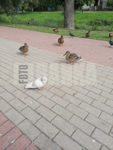 IMG 20240804 161345