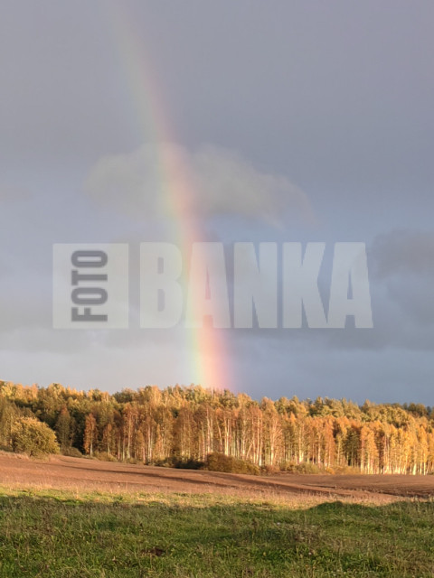 IMG 20231015 173327