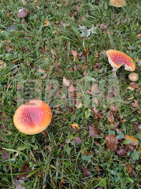 IMG 20231007 182445
