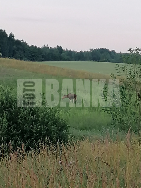 IMG 20210706 204807