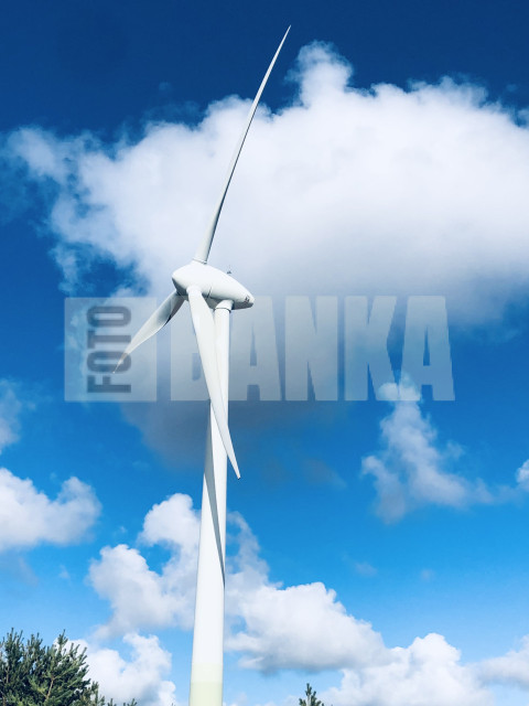 Windmill