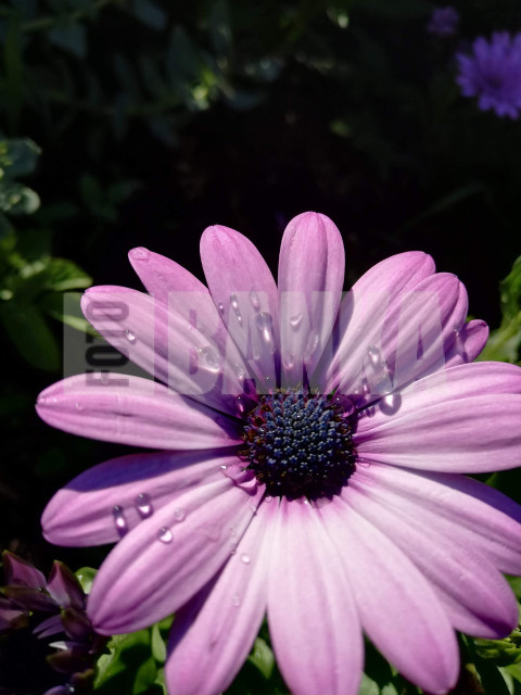 IMG 20190609 192832