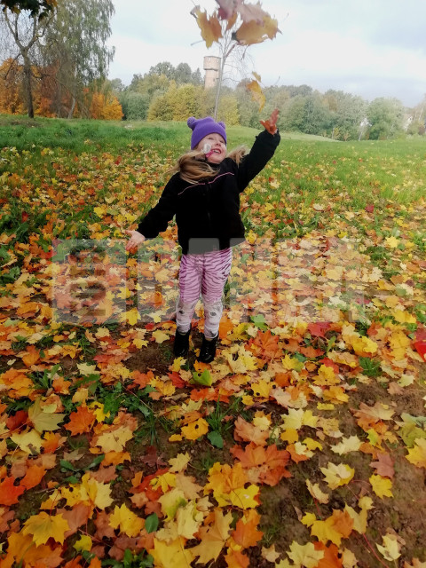 IMG 20211002 164041