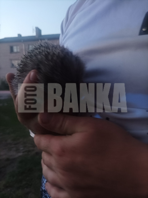 IMG 20240629 225449