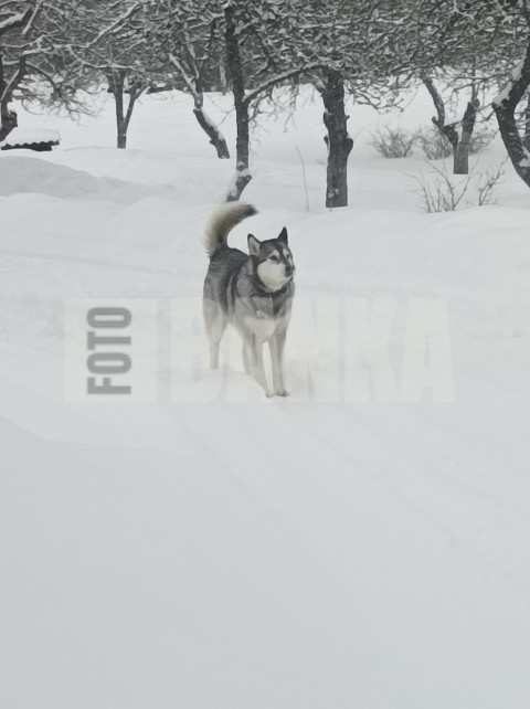 IMG 20230311 173810