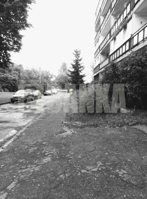 IMG 20240725 083359