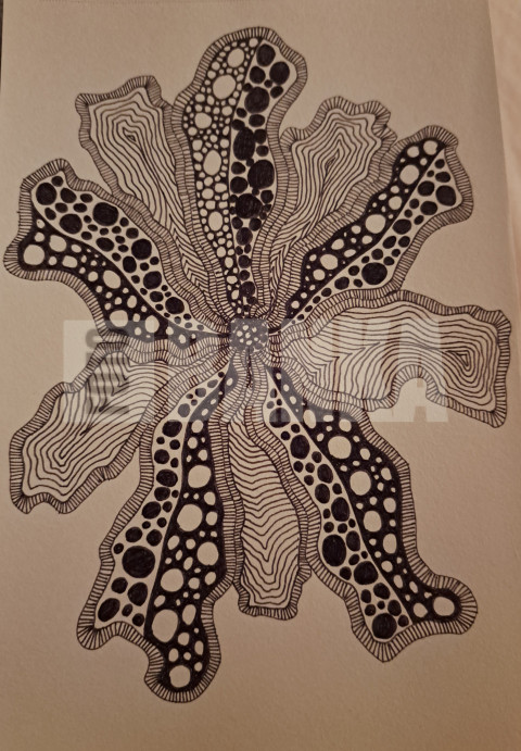 20230809 010845