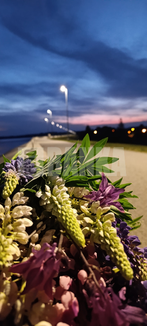 IMG 20240529 231652