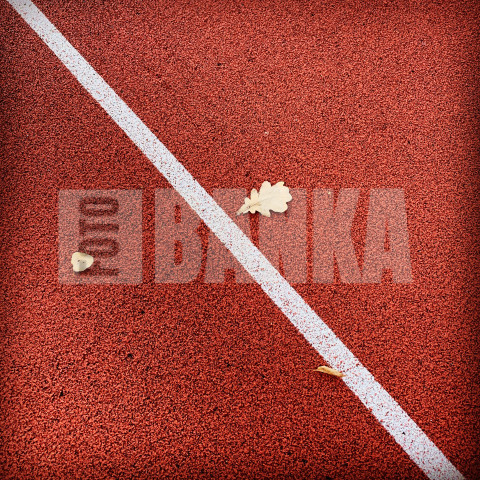 Rudens lapas sporta laukumā