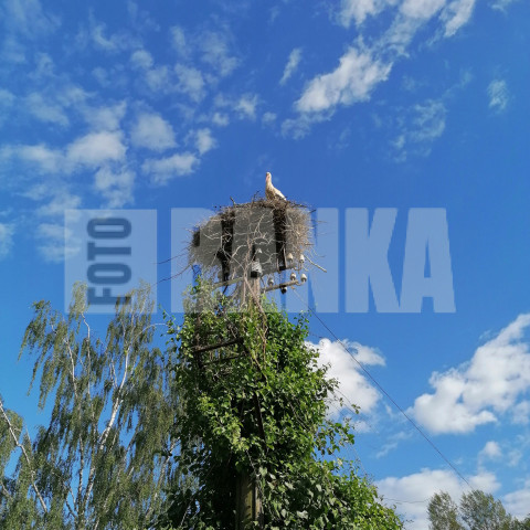 IMG 20240616 195512 134