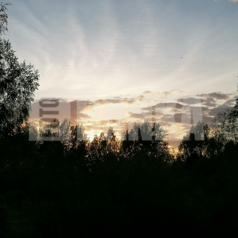 IMG 20240516 220753 074